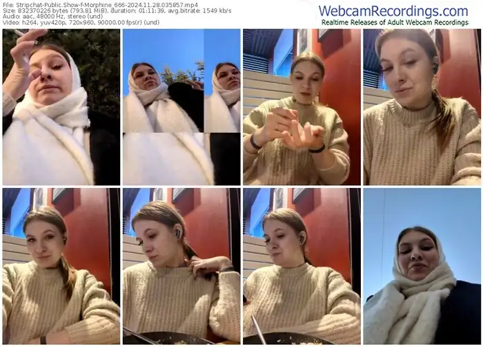 2024/11/28/stripchat-morphine_666-03-58-57