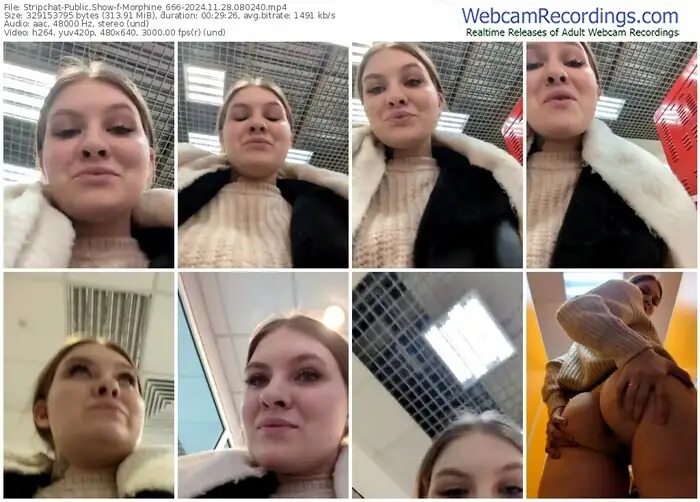 2024/11/28/stripchat-morphine_666-08-02-40