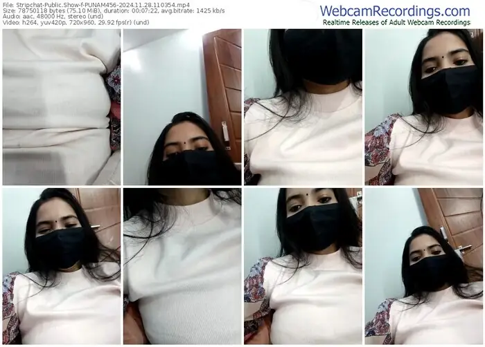 2024/11/28/stripchat-punam456-11-03-54