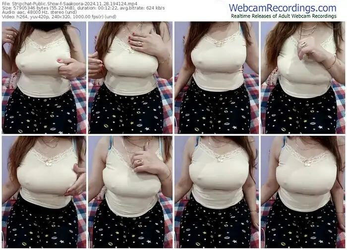 2024/11/28/stripchat-saakoora-19-41-24