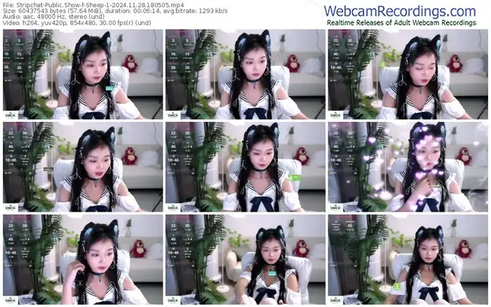 2024/11/28/stripchat-sheep-1-18-05-05