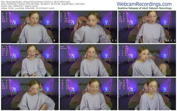 2024/11/28/stripchat-silverrmoon-01-33-00