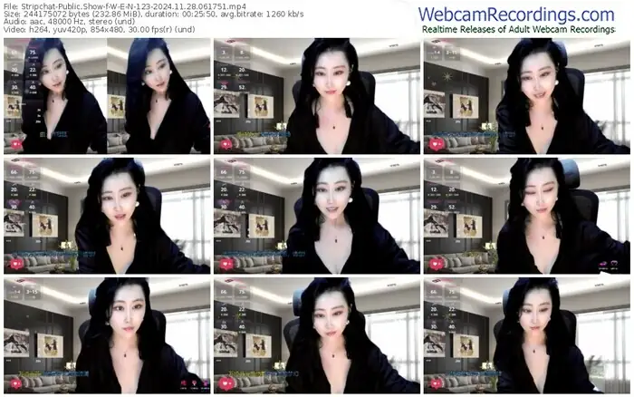 2024/11/28/stripchat-w-e-n-123-06-17-51