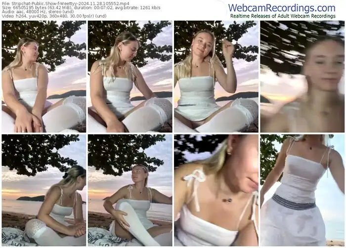 2024/11/28/stripchat-weettyy-10-55-52