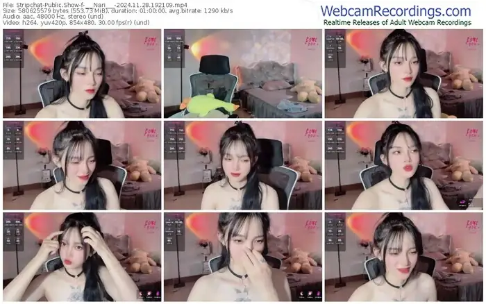 2024/11/28/stripchat-___nari___-19-21-09