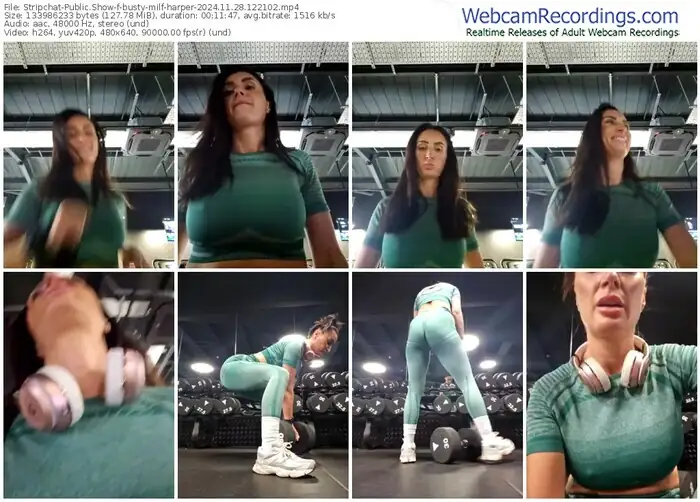 2024/11/28/stripchat-busty-milf-harper-12-21-02