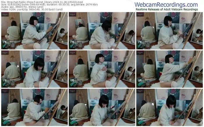 2024/11/28/stripchat-secret_library-10-54-19