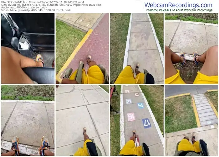 2024/11/28/stripchat-ctoned2-16-51-28