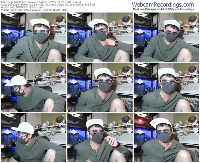 2024/11/28/stripchat-owl1216-10-04-18
