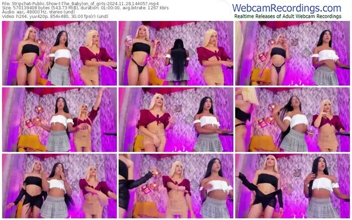 2024/11/28/stripchat-the_babylon_of_girls-14-40-57