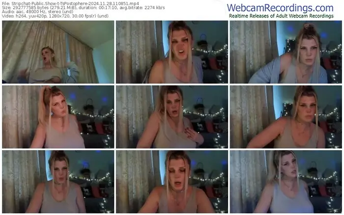 2024/11/28/stripchat-tspostophere-11-08-51