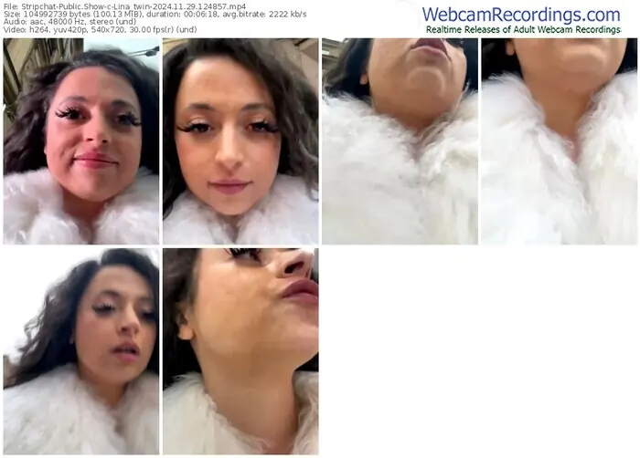 2024/11/29/stripchat-lina_twin-12-48-57