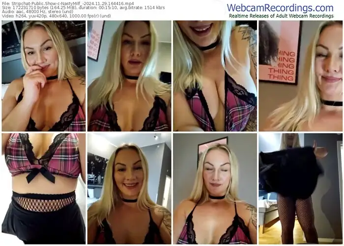 2024/11/29/stripchat-nastymilf_-16-44-16
