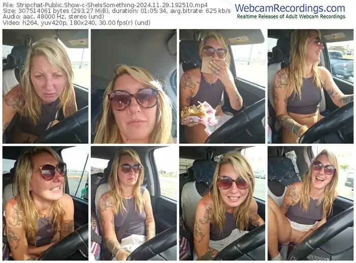 2024/11/29/stripchat-sheissomething-19-25-10