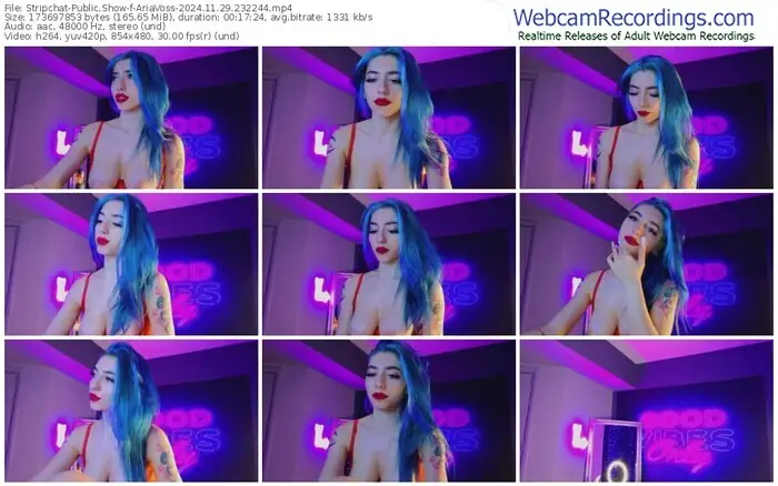 2024/11/29/stripchat-ariavoss-23-22-44