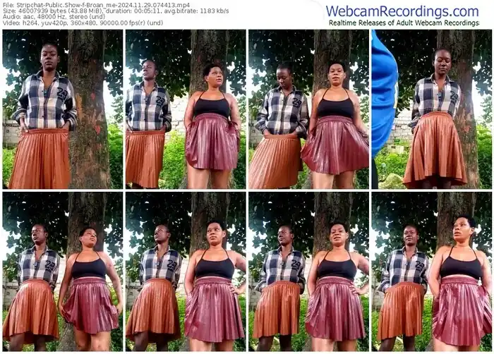 2024/11/29/stripchat-broan_me-07-44-13