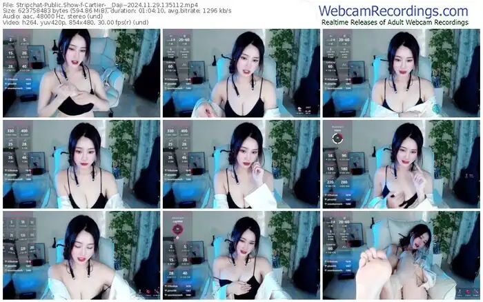 2024/11/29/stripchat-cartier-__daji--13-51-12