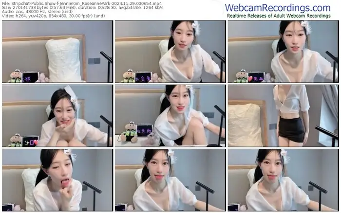 2024/11/29/stripchat-jenniekim_roseannepark-00-06-54