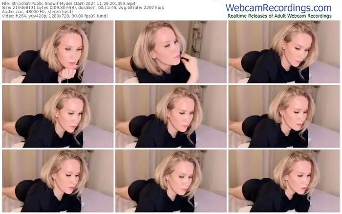 2024/11/29/stripchat-myassistant-20-13-53