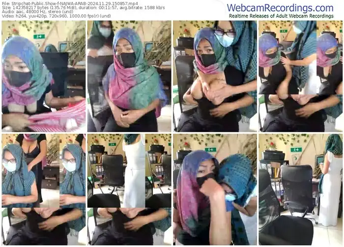 2024/11/29/stripchat-najwa-arab-15-08-57
