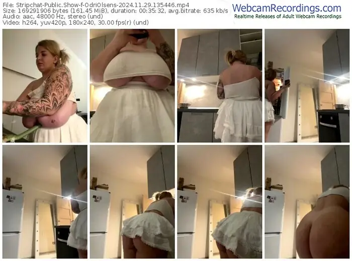 2024/11/29/stripchat-odriolsens-13-54-46