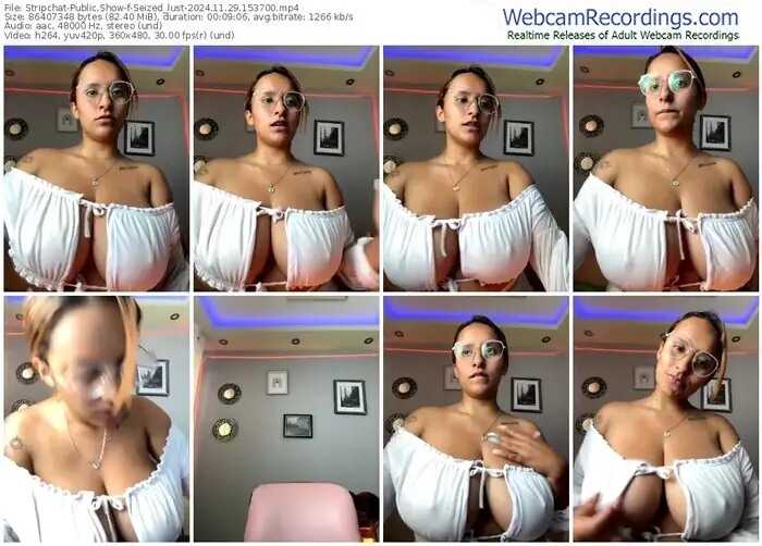 2024/11/29/stripchat-seized_lust-15-37-00