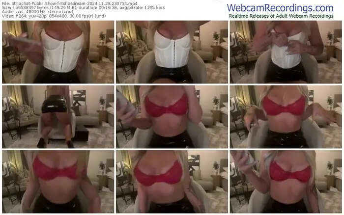 2024/11/29/stripchat-sofiasdream-23-07-34