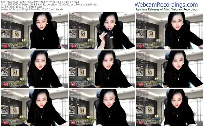 2024/11/29/stripchat-w-e-n-123-04-31-20