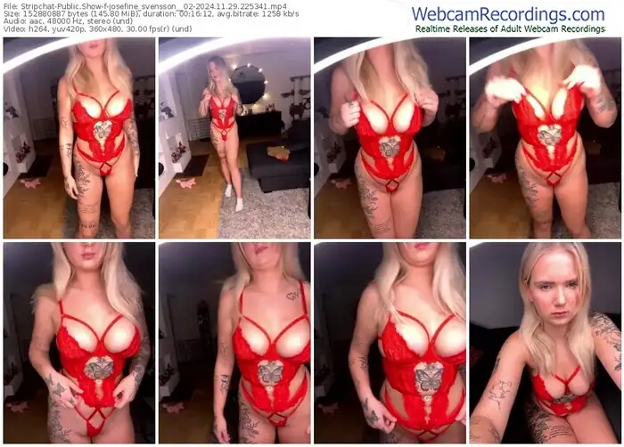 2024/11/29/stripchat-josefine_svensson__02-22-53-41
