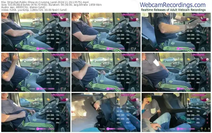 2024/11/29/stripchat-cruising_land-13-57-51