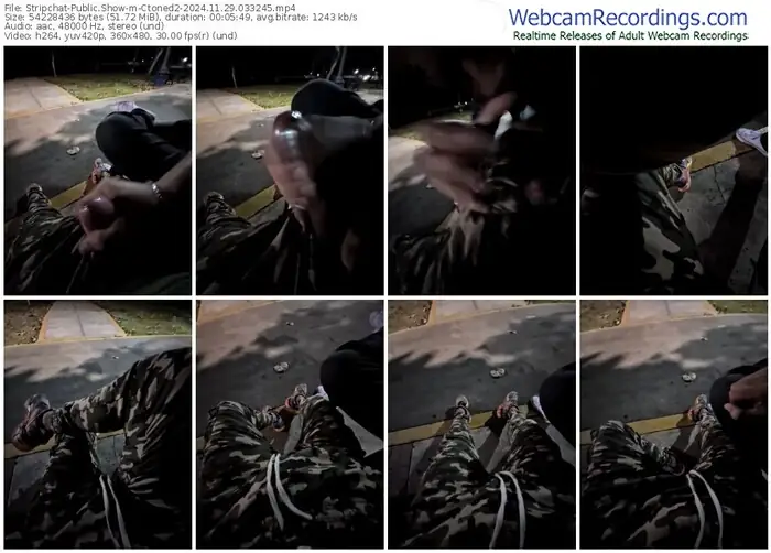 2024/11/29/stripchat-ctoned2-03-32-45