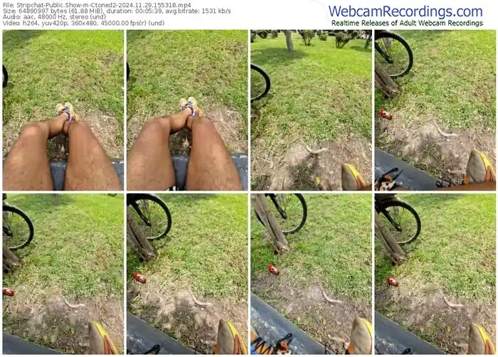 2024/11/29/stripchat-ctoned2-15-53-18