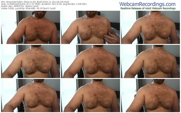 2024/11/29/stripchat-mr_beef-14-12-29