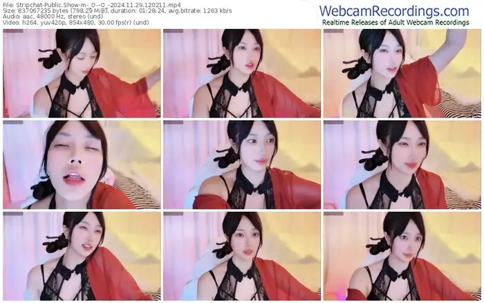 2024/11/29/stripchat-_o--o_-12-02-11