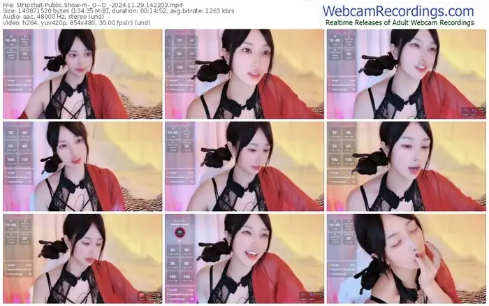 2024/11/29/stripchat-_o--o_-14-22-03