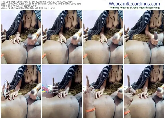 2024/11/30/stripchat-feltedeuropium-09-38-10