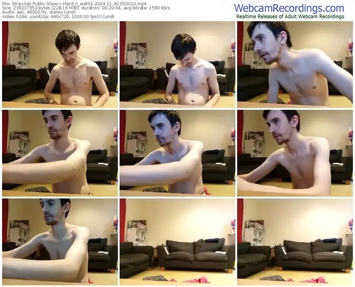 2024/11/30/stripchat-hard_n_wet01-05-30-10