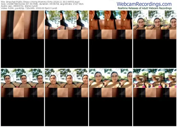 2024/11/30/stripchat-horny-mommy-dirty-14-45-55