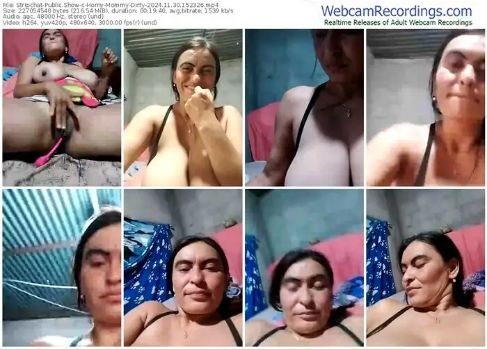 2024/11/30/stripchat-horny-mommy-dirty-15-23-26
