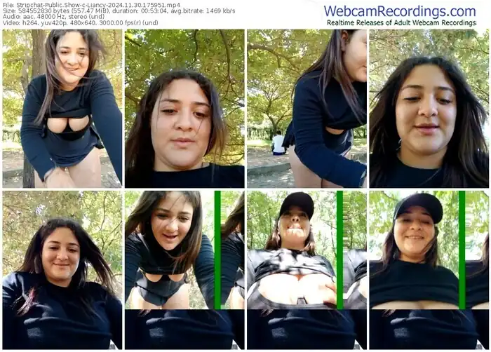 2024/11/30/stripchat-liancy-17-59-51