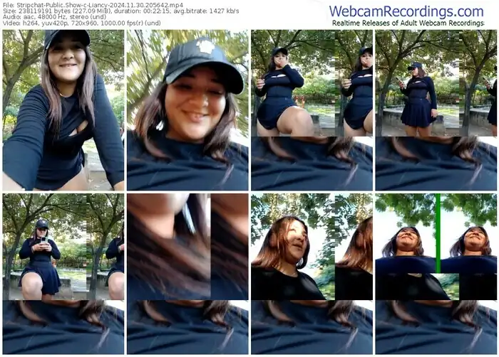 2024/11/30/stripchat-liancy-20-56-42