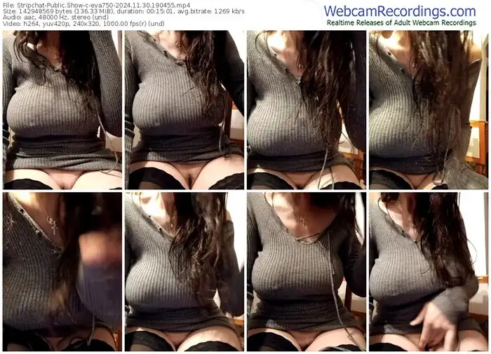 2024/11/30/stripchat-eva750-19-04-55