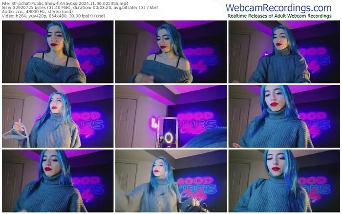 2024/11/30/stripchat-ariavoss-02-13-56