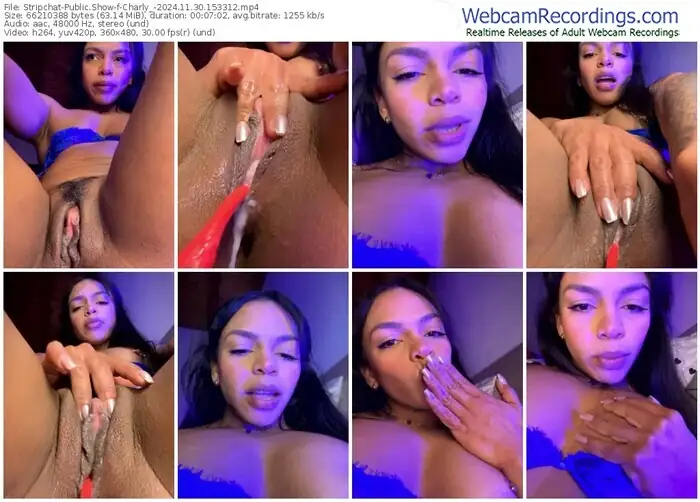 2024/11/30/stripchat-charly_-15-33-12