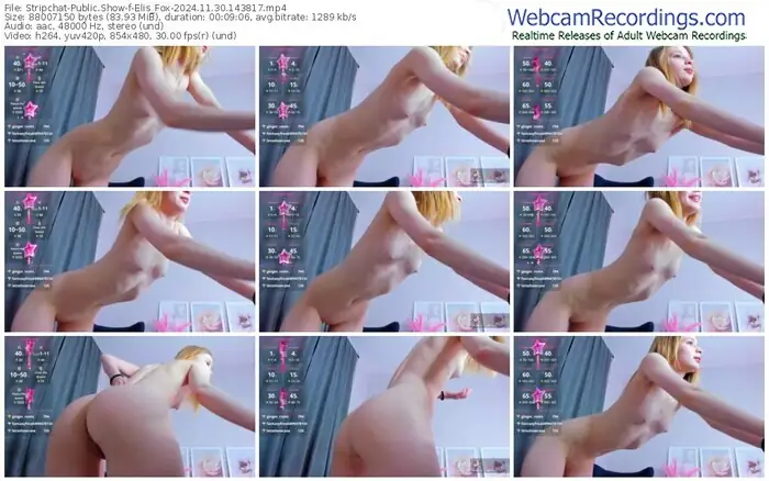 2024/11/30/stripchat-elis_fox-14-38-17