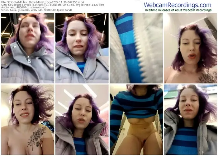 2024/11/30/stripchat-frost_foxy-06-42-50