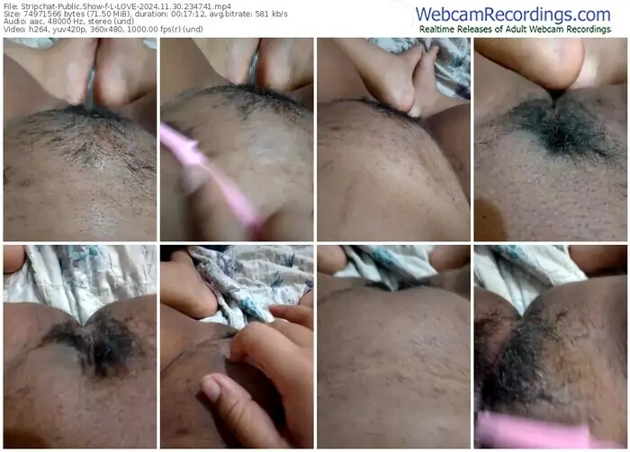 2024/11/30/stripchat-l-love-23-47-41