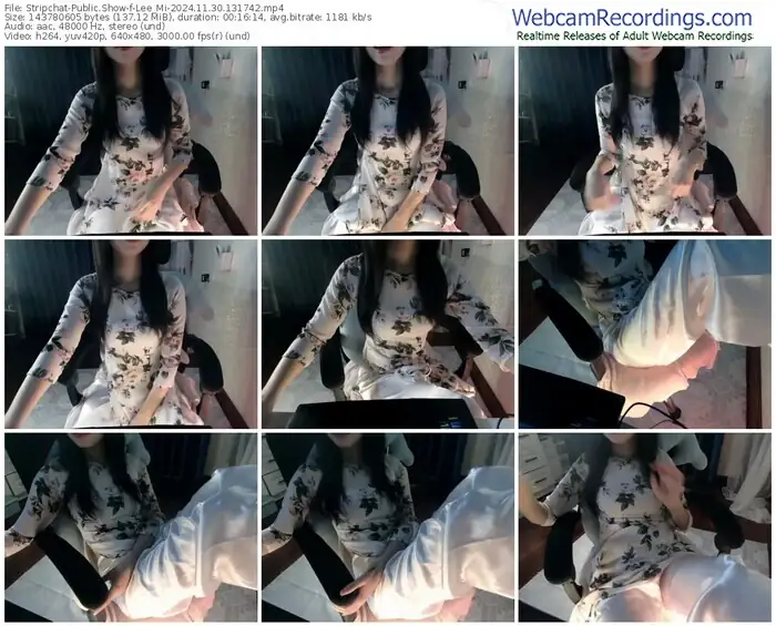 2024/11/30/stripchat-lee_mi-13-17-42