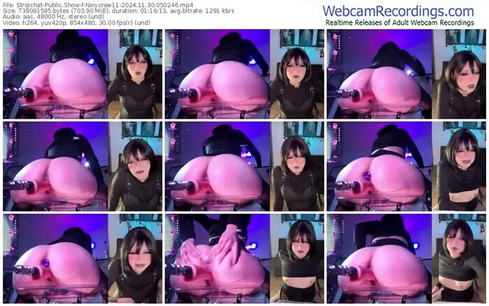 2024/11/30/stripchat-nixycrow11-05-02-46