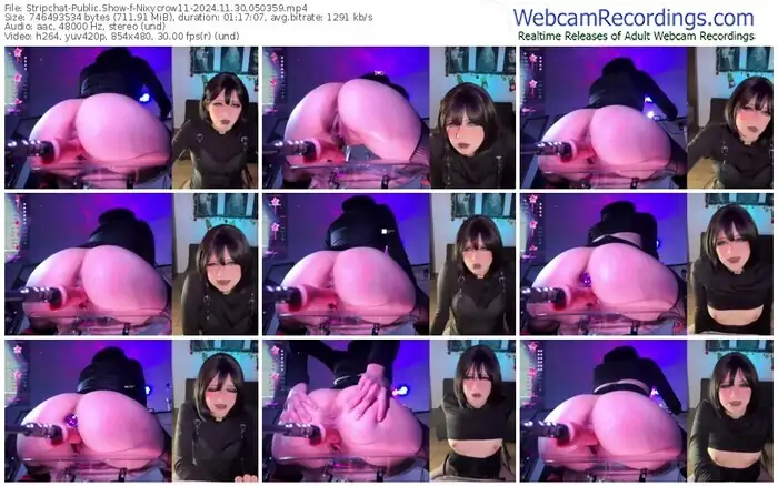 2024/11/30/stripchat-nixycrow11-05-03-59